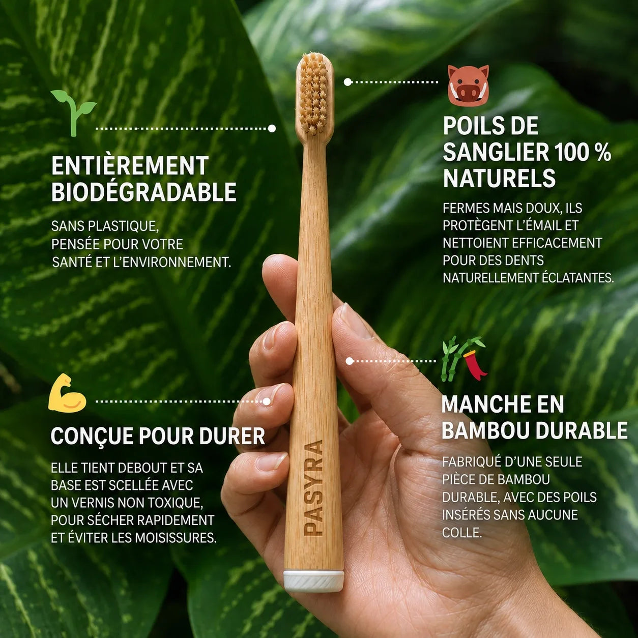 PASYRA Brosse à dents en poils de sanglier et bambou (Lot de 4)