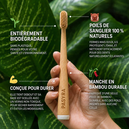 PASYRA Brosse à dents en poils de sanglier et bambou (Lot de 4)