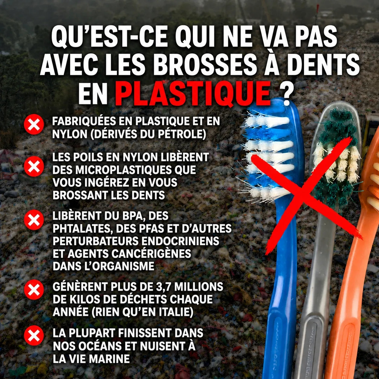 PASYRA Brosse à dents en poils de sanglier et bambou (Lot de 4)