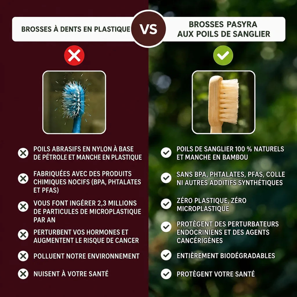PASYRA Brosse à dents en poils de sanglier et bambou (Lot de 4)