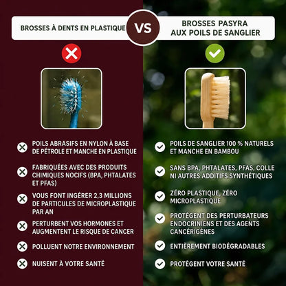 PASYRA Brosse à dents en poils de sanglier et bambou (Lot de 4)