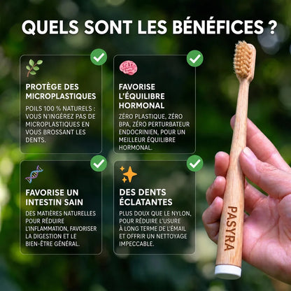 PASYRA Brosse à dents en poils de sanglier et bambou (Lot de 4)